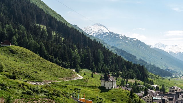 Lawinenschutzwald über Andermatt Lawinenschutzwald über Andermatt