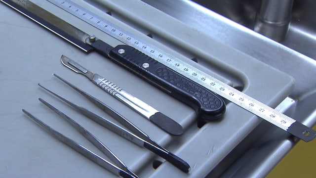 Obduktionstisch mit Messer. Obduktionstisch mit Messer.
