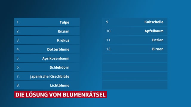 Lösung