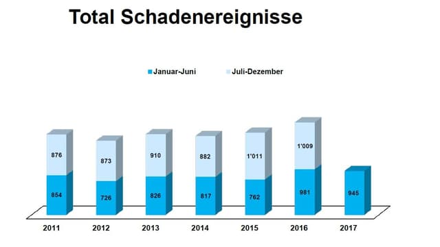VBZ Schadensbilanz 1. Halbjahr 2017 VBZ Schadensbilanz 1. Halbjahr 2017