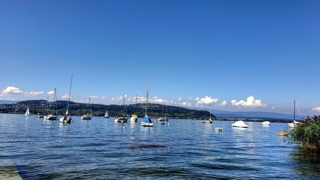 Blick über den wolkenlosen Murtensee zum Mont Vully. Blick über den wolkenlosen Murtensee zum Mont Vully.