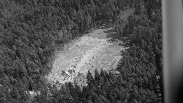 Loch im Wald. Loch im Wald.