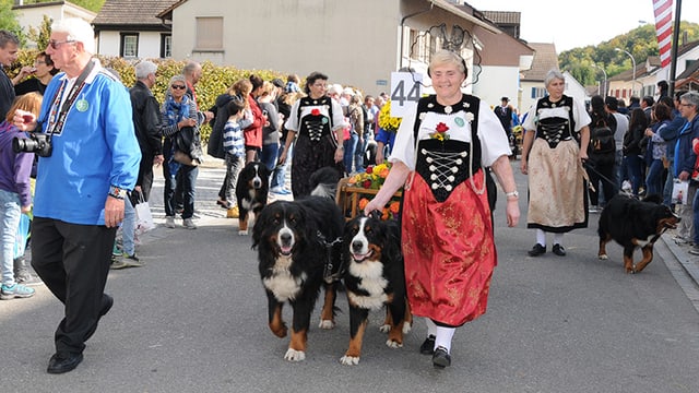 Zwei Hunde mit Begleitung Zwei Hunde mit Begleitung