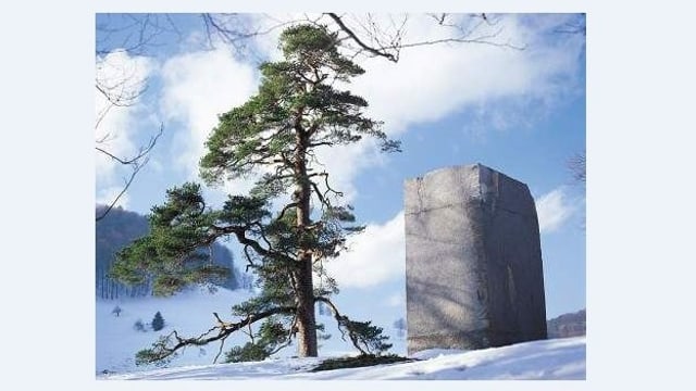 Eine blockartige, grosse Felsskulptur steht neben einem Nadelbaum in Winterlandschaft. Eine blockartige, grosse Felsskulptur steht neben einem Nadelbaum in Winterlandschaft.