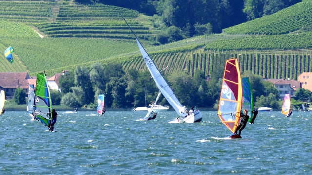 Bise am Murtensee. Bise am Murtensee.