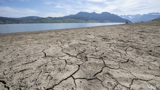 Ausgetrockneter Boden am Sihlsee Ausgetrockneter Boden am Sihlsee