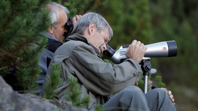 Brosi auf Wildtierbeobachtung Brosi auf Wildtierbeobachtung