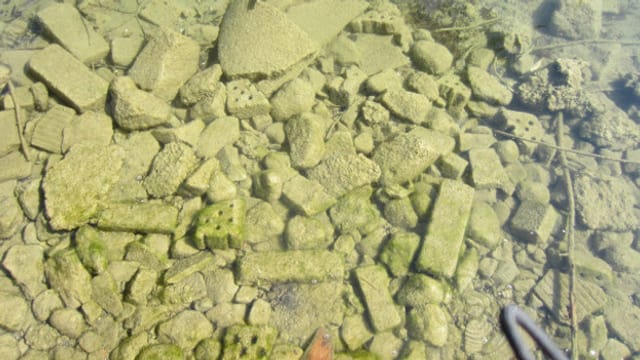 Bild vom Ufer, von oben aufgenommen. Zu sehen sind auch Ziegel-Reste und Schutt. Bild vom Ufer, von oben aufgenommen. Zu sehen sind auch Ziegel-Reste und Schutt.
