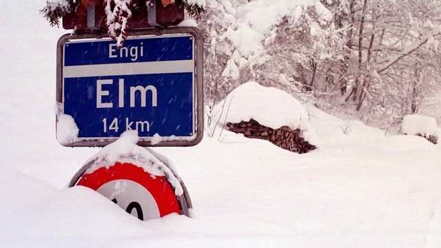 Elm Elm