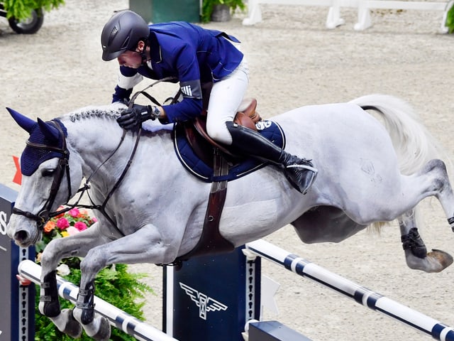 Springreiten Springreiten