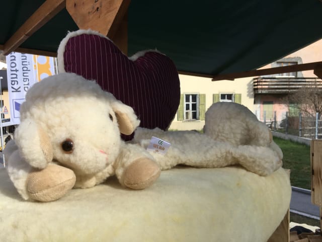 Animals da plüsch.