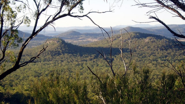 Landschaft in New South Wales, in der vor zehn Jahren ein Kohlemine entstehen sollte. Landschaft in New South Wales, in der vor zehn Jahren ein Kohlemine entstehen sollte.