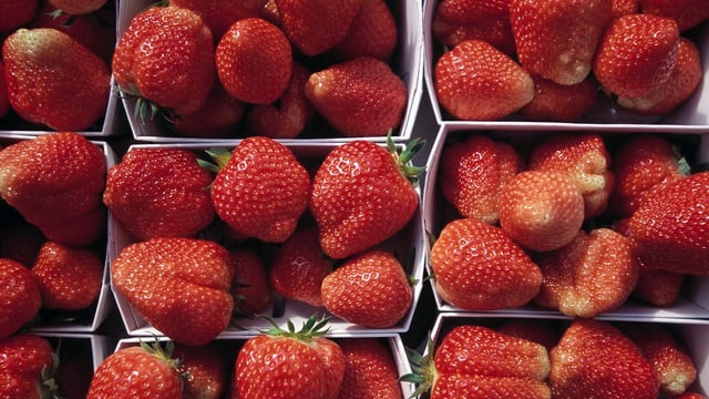 Erdbeeren in Kartonschalen.