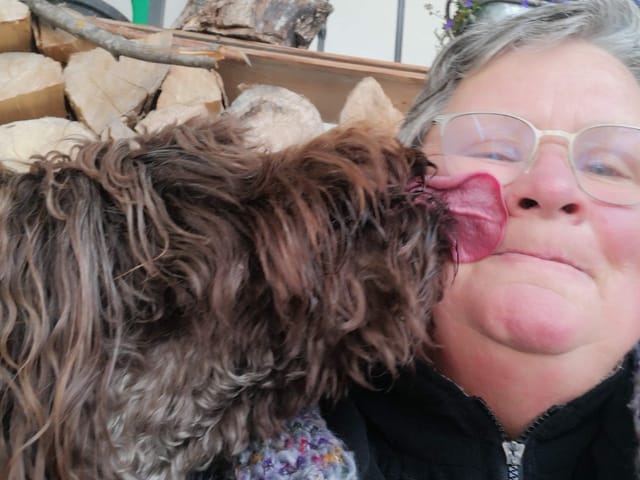 Hund leckt seiner Besitzerin über das Gesicht.