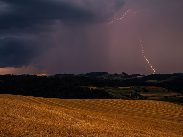 Ein Blitz schlägt im Hintergrund ein und erhellt den Himmel. Im Vordergrund ein Weizenfeld. Ein Blitz schlägt im Hintergrund ein und erhellt den Himmel. Im Vordergrund ein Weizenfeld.