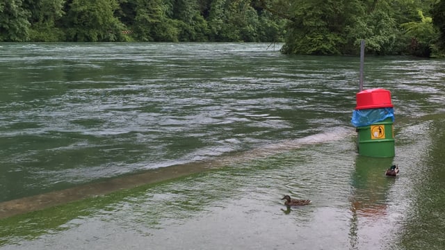Bei Neuhausen hatte der Rhein schon am Sonntag Hochwasser. Bei Neuhausen hatte der Rhein schon am Sonntag Hochwasser.