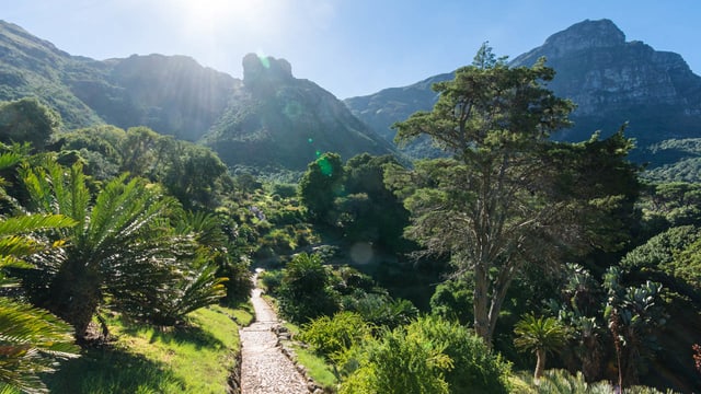 Video «Magische Gärten - Südafrika: Kirstenbosch» abspielen Video «Magische Gärten - Südafrika: Kirstenbosch» abspielen