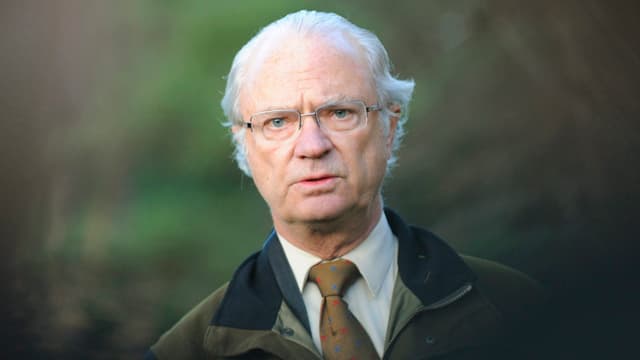 Porträt König Carl Gustaf Porträt König Carl Gustaf