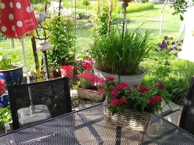 Ein Garten mit vielen Blumen und einem Sonnenschirm.