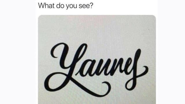 Schriftzug Yanny & Laurel Schriftzug Yanny & Laurel