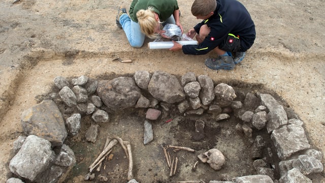 Aargauer Kultur - Kantonsarchäologie öffnet sich für Freiwillige - News - SRF