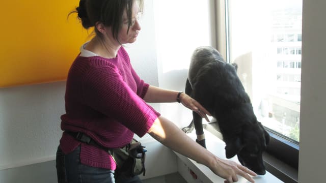 hund hund