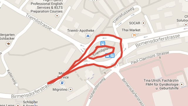 Vagina beim Triemli, per GPS-Tracking gezeichnet. Vagina beim Triemli, per GPS-Tracking gezeichnet.