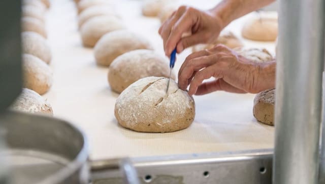 Brot. Brot.