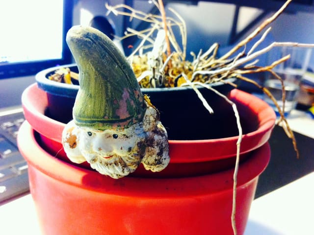 Ein Blumentopf mit vertrockneten Halmen, die herausschauen Ein Blumentopf mit vertrockneten Halmen, die herausschauen