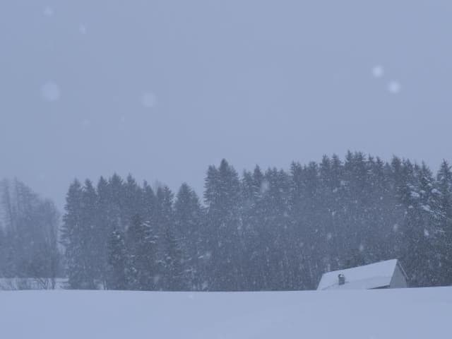 Schneefall, schlechte Sich.