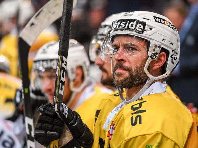Andrew Ebbett und der SC Bern. Andrew Ebbett und der SC Bern.