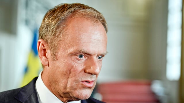 Tusk Tusk