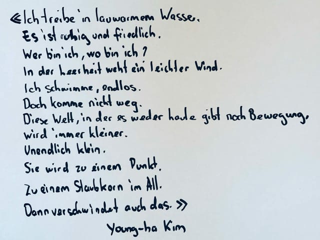 Abschrift eines Zitats aus «Aufzeichnungen eines Serienörders» von Young-ha Kim. 