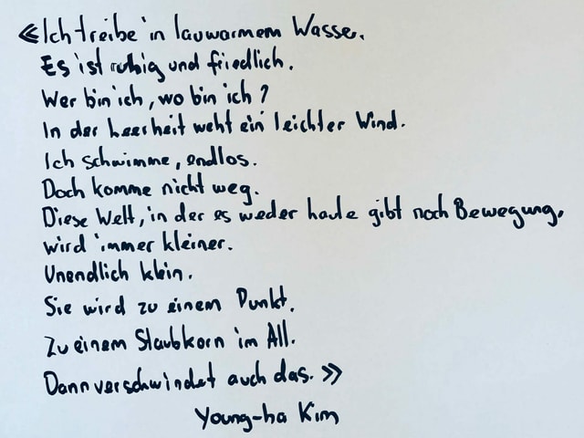 Abschrift eines Zitats aus «Aufzeichnungen eines Serienörders» von Young-ha Kim. Abschrift eines Zitats aus «Aufzeichnungen eines Serienörders» von Young-ha Kim.