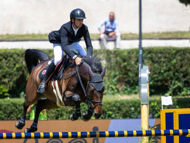 Steve Guerdat auf Venard de Cerisy. Steve Guerdat auf Venard de Cerisy.