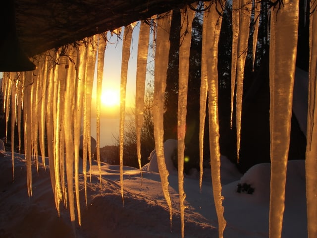 Eiszapfen hängen ins Bild, sie glänzen gelb-weiss, dahinter scheint die Sonne.
