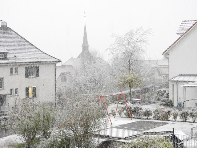 Blick auf einen Garten im Schnee.