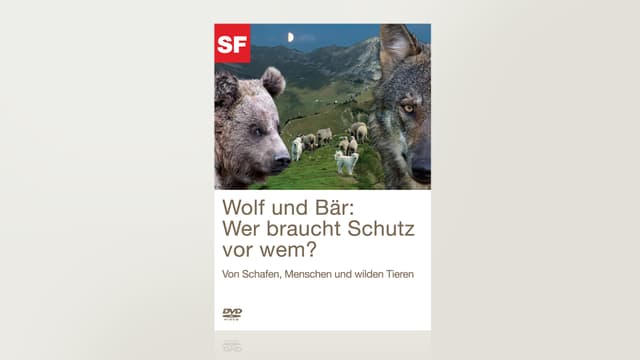 Wolf und Bär: Wer braucht Schutz vor wem? Wolf und Bär: Wer braucht Schutz vor wem?