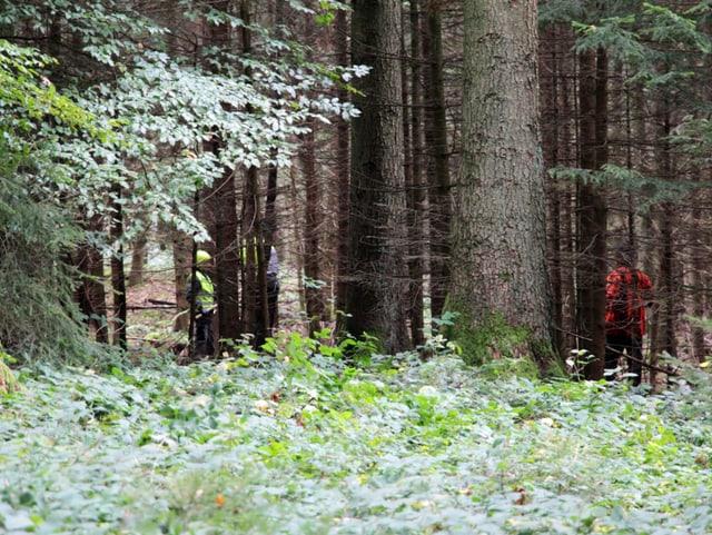 Jäger in Leuchtweste im dichten Wald.