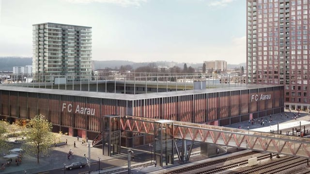 Stadion Stadion