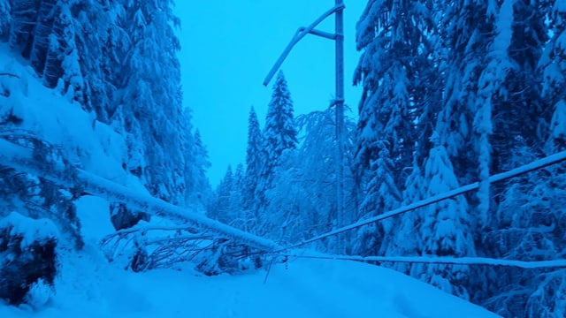 Eingestürzte Bäume liegen auf der Bahnstrecke im Schnee.