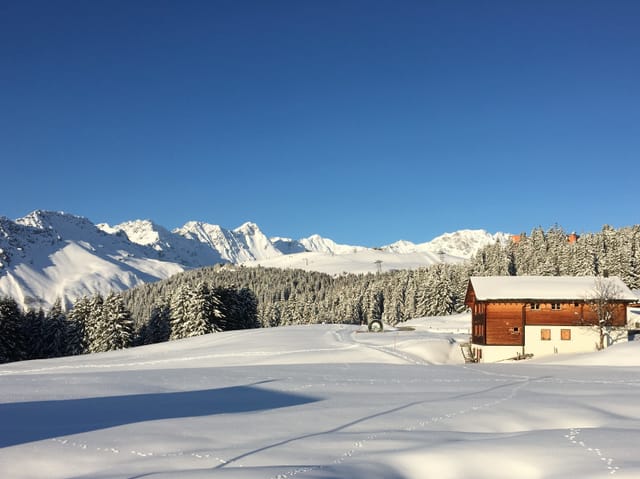 Tiefverschneite Winterlandschaft bei wolkenlosem Himmel.