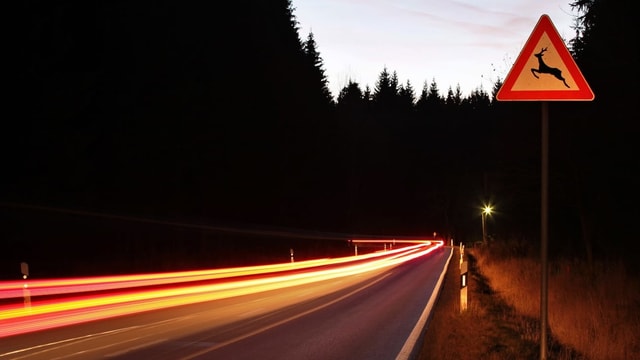 Verkehrsschild Achtung Wildwechsel Verkehrsschild Achtung Wildwechsel