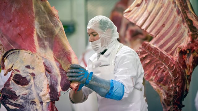 Eine Frau bearbeitet Fleisch. Eine Frau bearbeitet Fleisch.