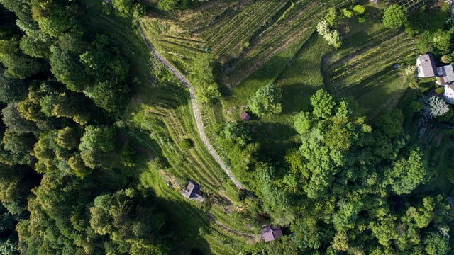 Kein zweiter Nationalpark in der Schweiz