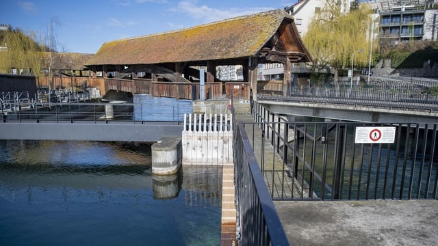 Eine Bibertreppe beim Wasserkraftwerk beim Luzerner Mühleplatz. Eine Bibertreppe beim Wasserkraftwerk beim Luzerner Mühleplatz.