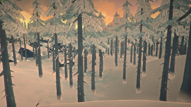 Der Winterwald von Kanada hat durchaus seinen Charm. Der Winterwald von Kanada hat durchaus seinen Charm.