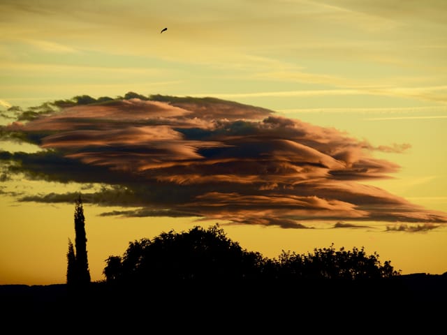 Ein orange-goldenes Wolkenfeld über der schwarzen Silhouette der Uferböschung.