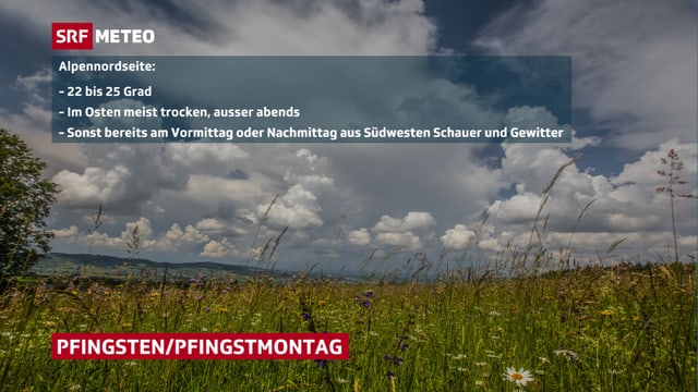 Freundlicher Himmel mit kleinen Quellwolken, darunter eine Blumenwiese. Freundlicher Himmel mit kleinen Quellwolken, darunter eine Blumenwiese.