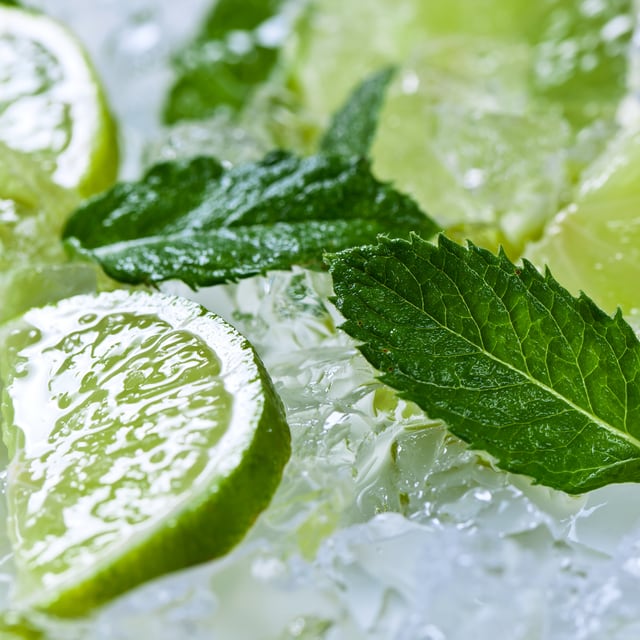 Minzblätter und Limettenscheiben auf Eis Minzblätter und Limettenscheiben auf Eis